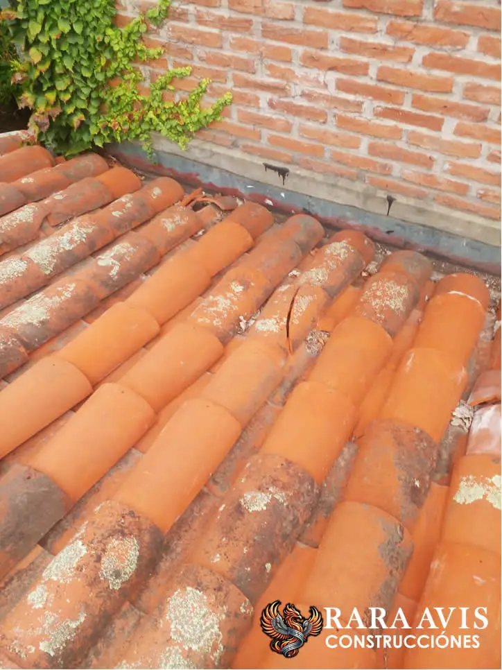 raraavis construcciones